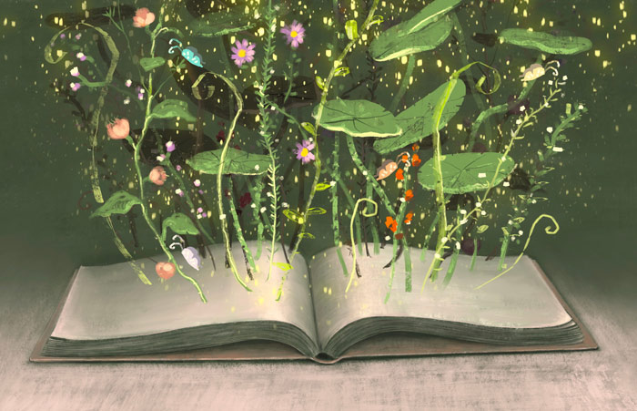 illustration of open book with flowers and plants growing up out of the pages - inspirational books
