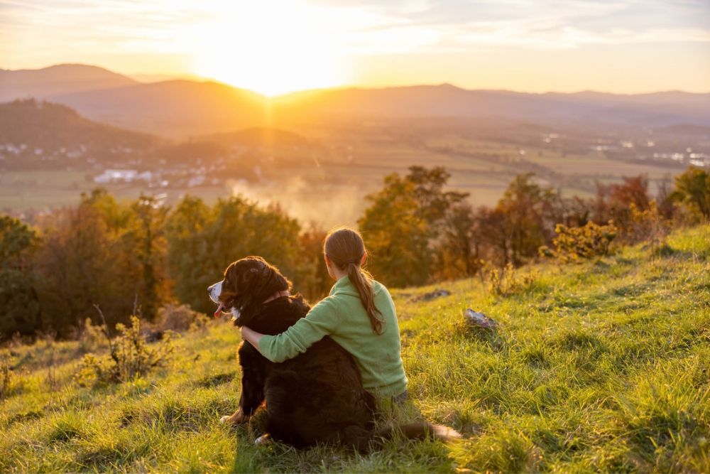 Willingway – Inviting More Calm Into Your Life Willingway - Inviting More Calm Into Your Life