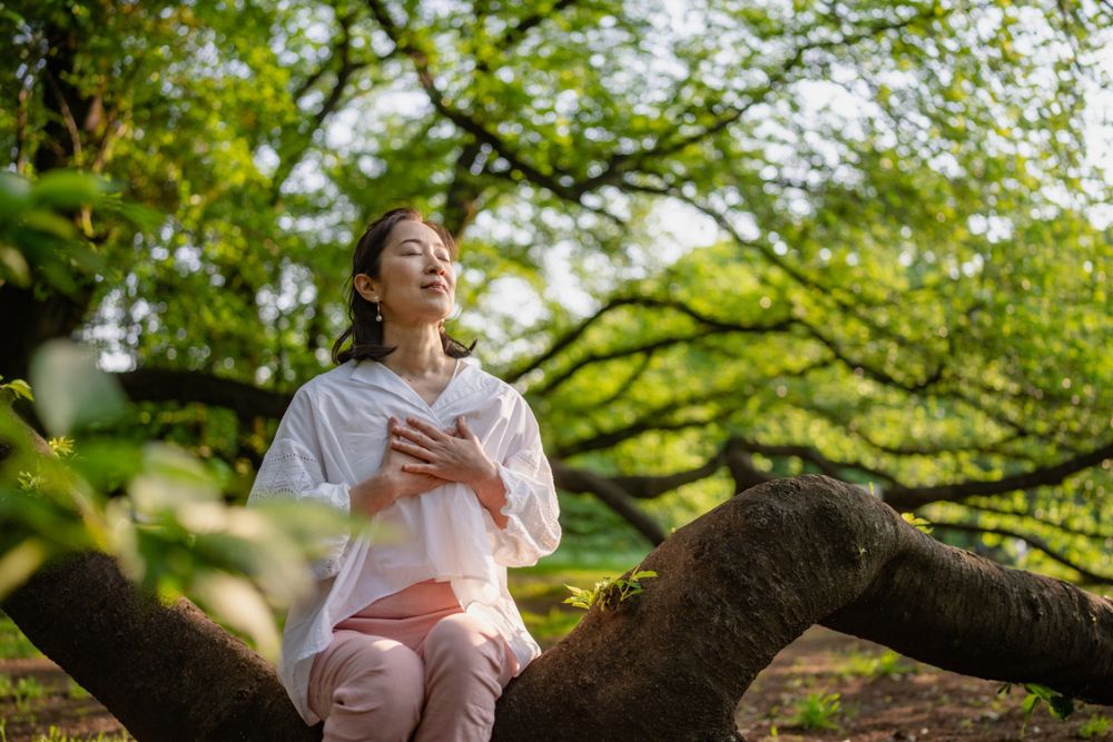 Willingway – Forest Bathing Funny Name, Real Benefits Willingway - Forest Bathing Funny Name, Real Benefits